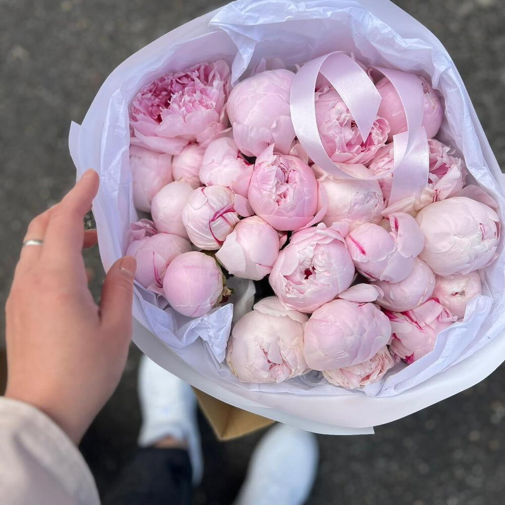 25 розовых пионов
