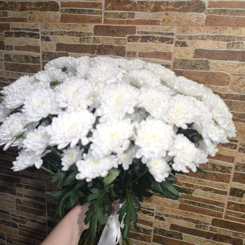 Букет 15 хризантем