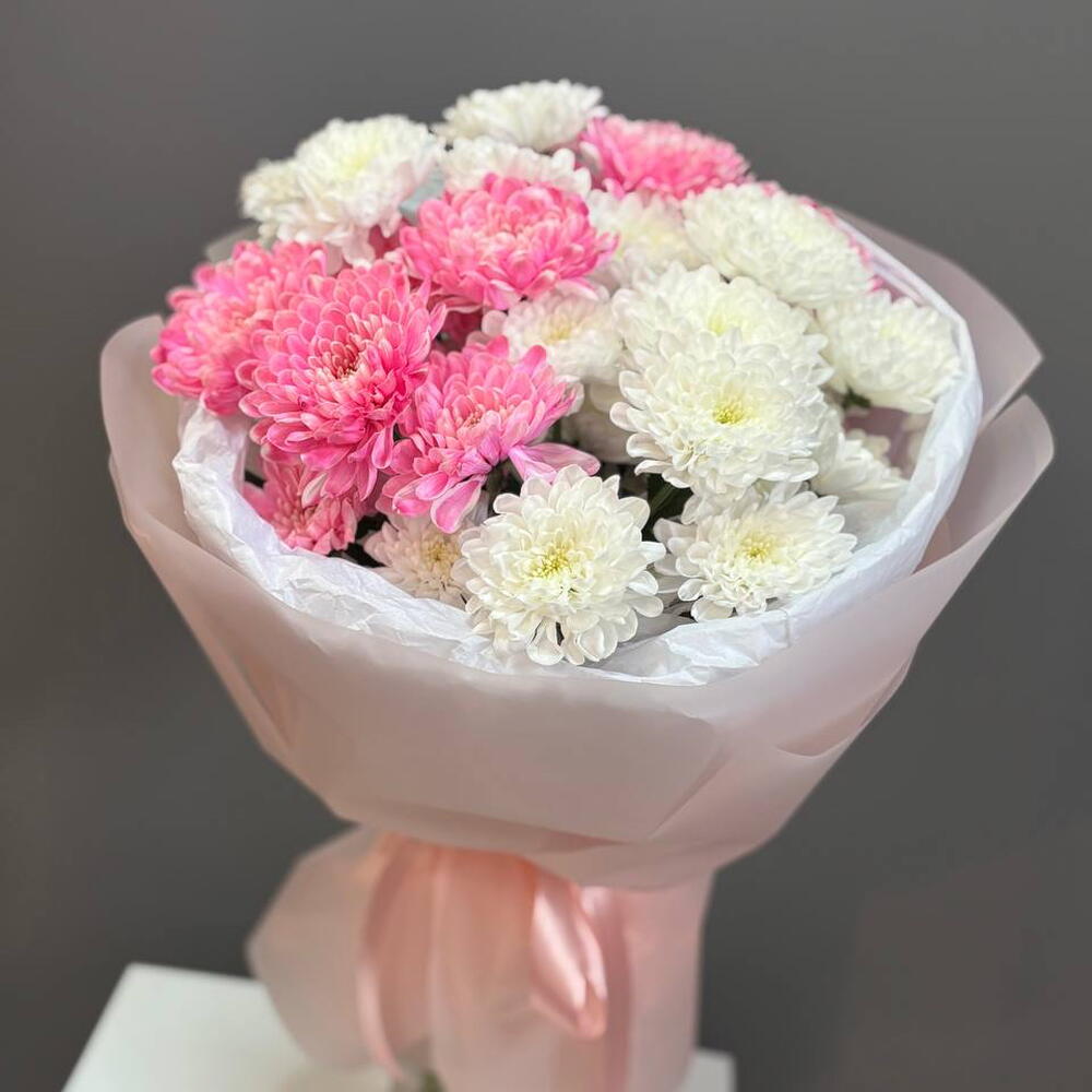 Бело-розовый микс из хризантемы 🌸