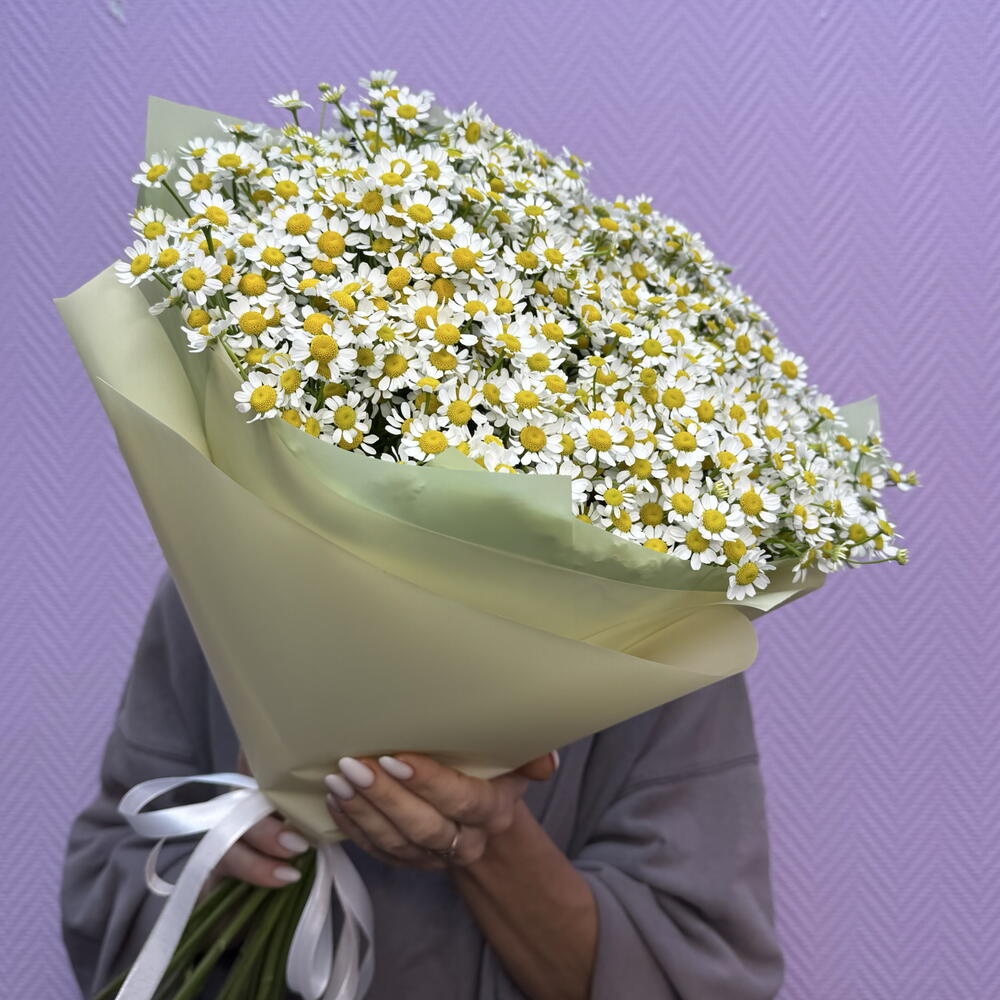 Ромашки кустовые 19 штук. Полевые цветы на День рождение 🤩 для девушки 💓😍