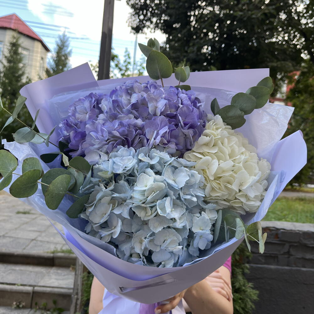Монобукет с гортензией