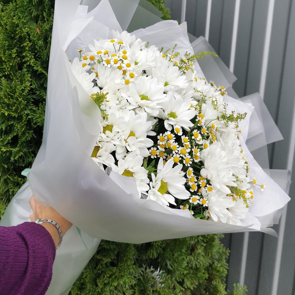 Хризантема, матрикария🌼