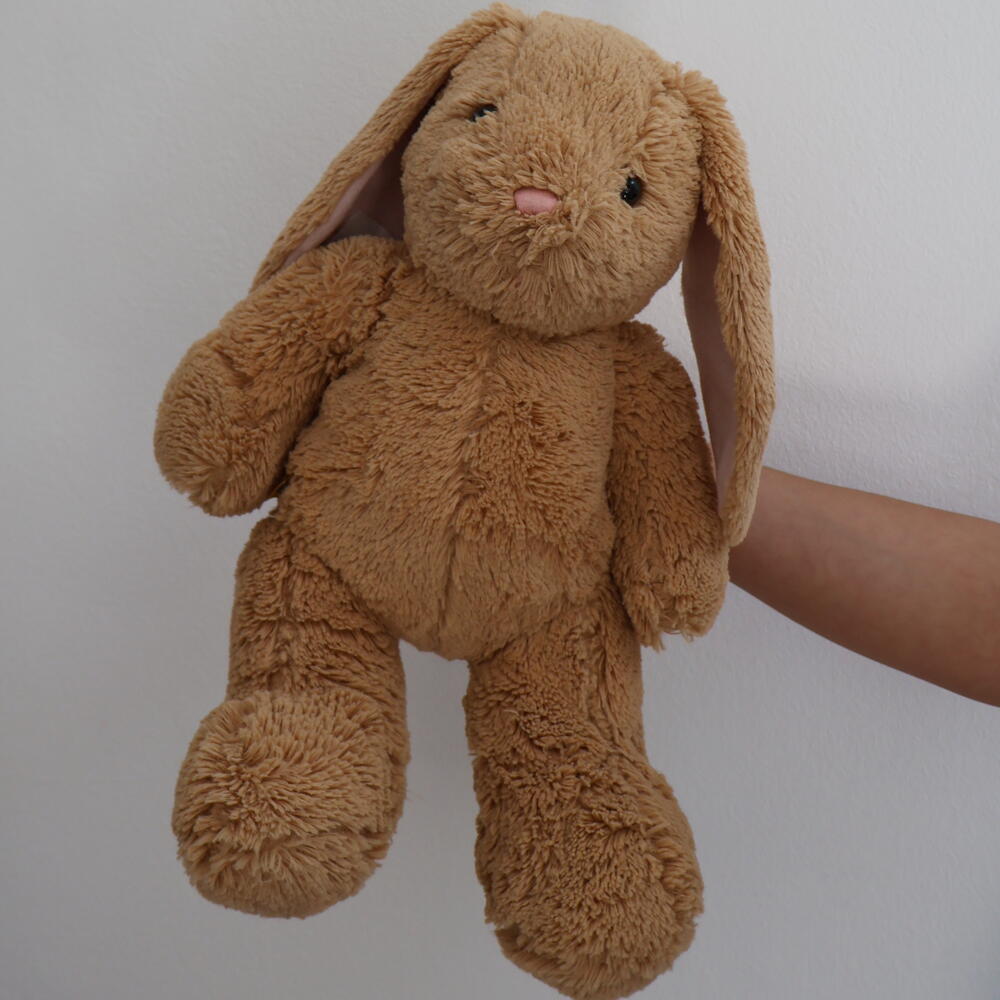 THE BUNNY