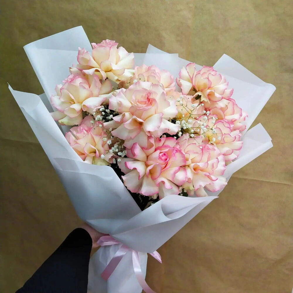 Франция/Гипсофила