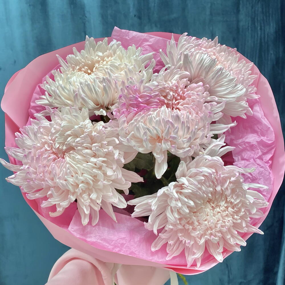 Хризантемы «зефирные»🌸
