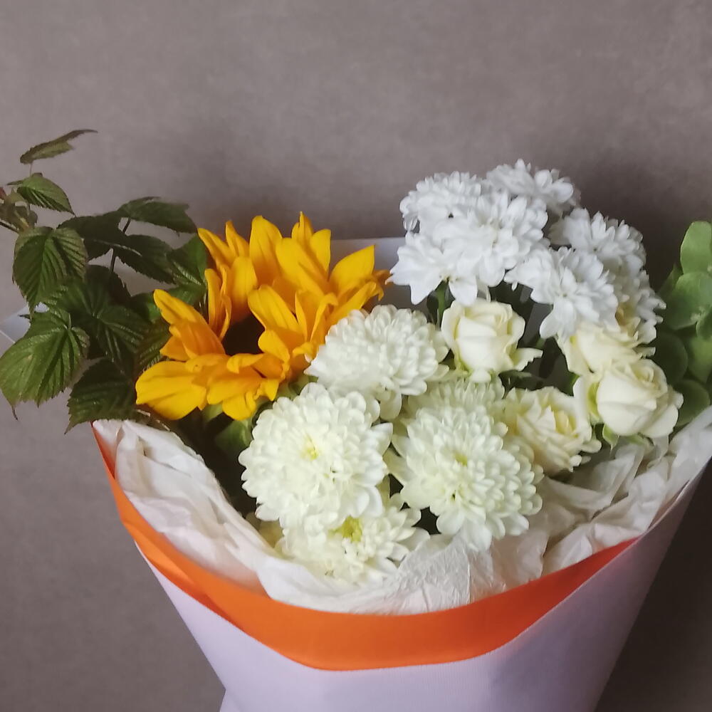 Подсолнух, малюцелла,хризантема кустовая,роза кустовая