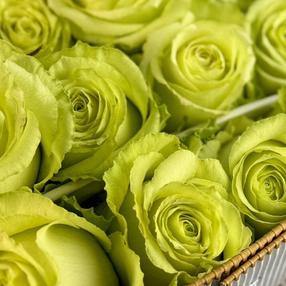 Роза Limonada (25 шт)