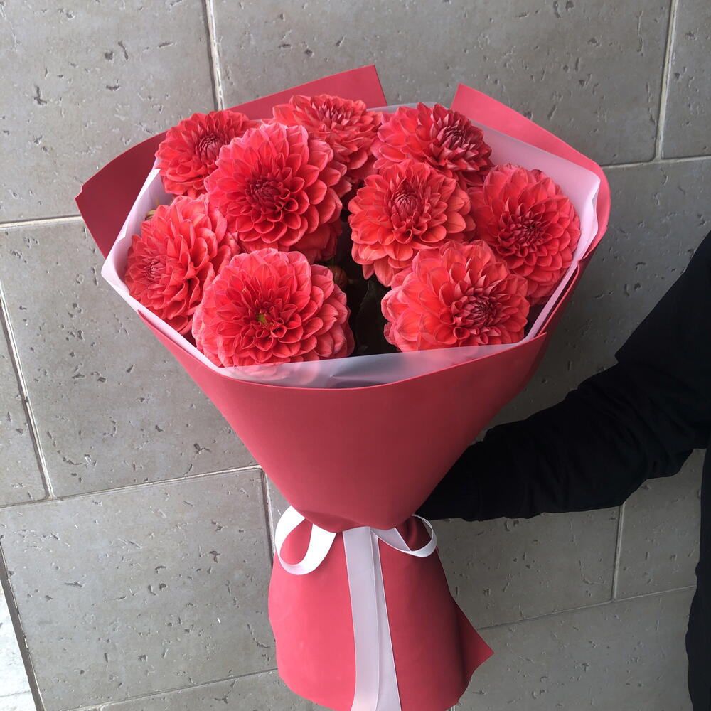 Георгины 🌺🌺🌺🌺🌺