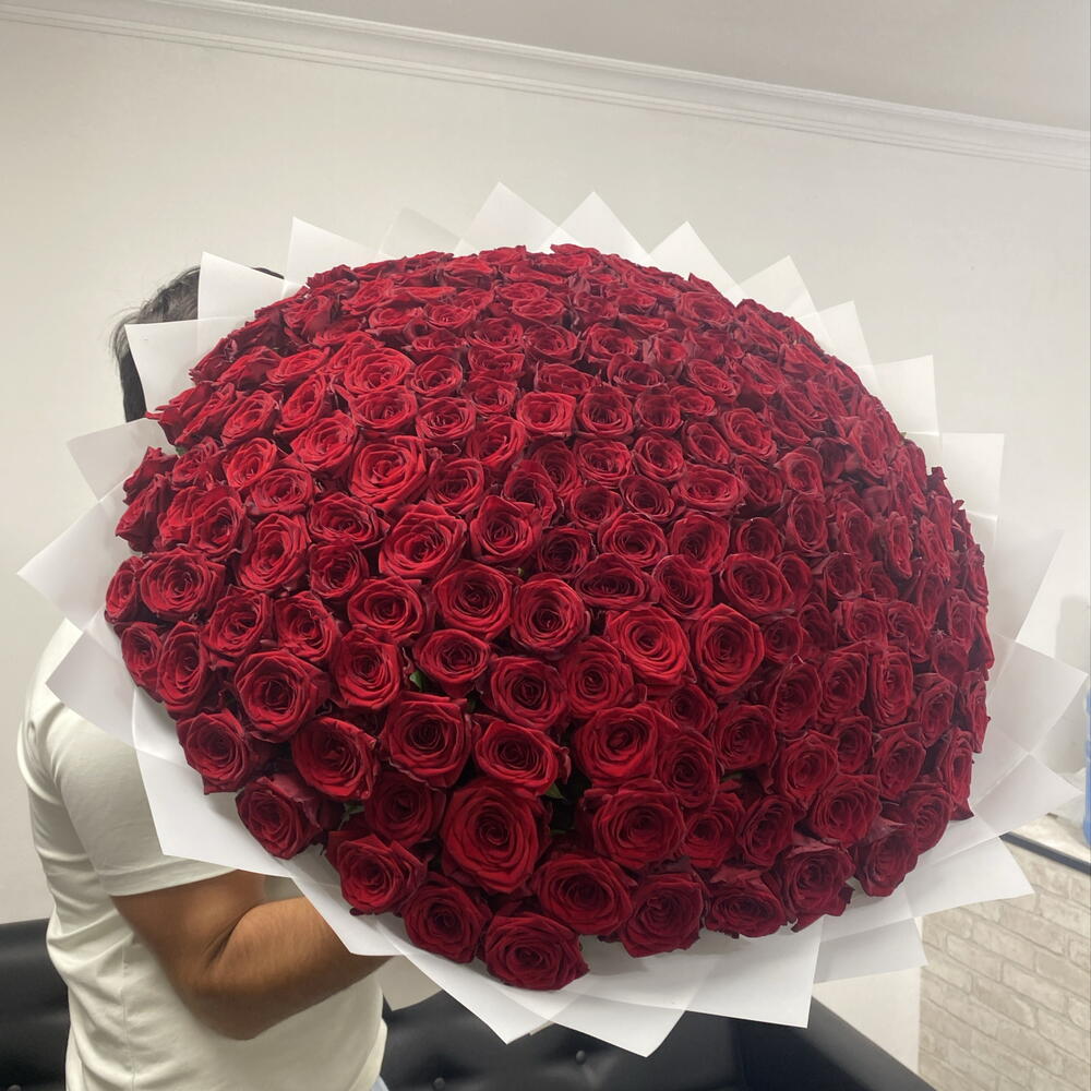 Красные розы 201шт🌹🌹🌹