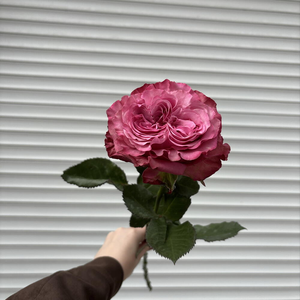 Кантри блюз💞