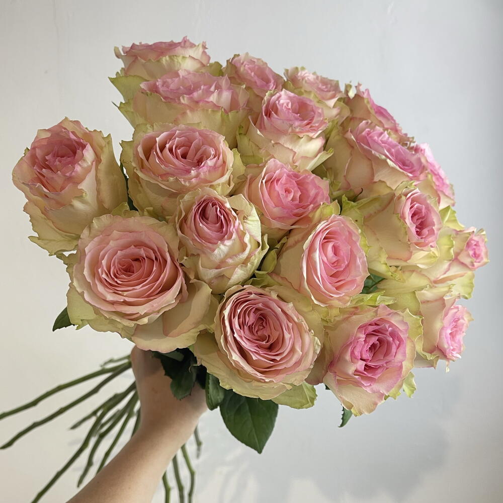 Розы нежные 🌸19