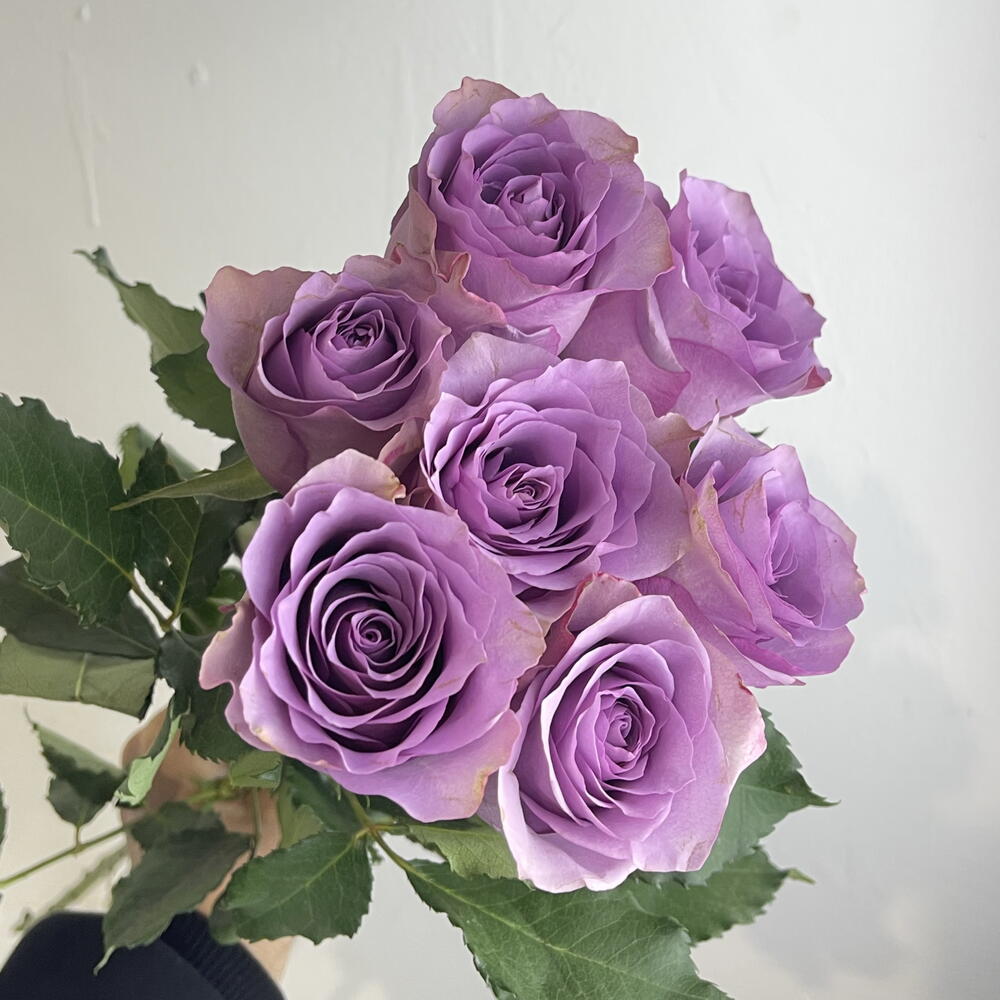 Букет роз фиолетовых 💜7