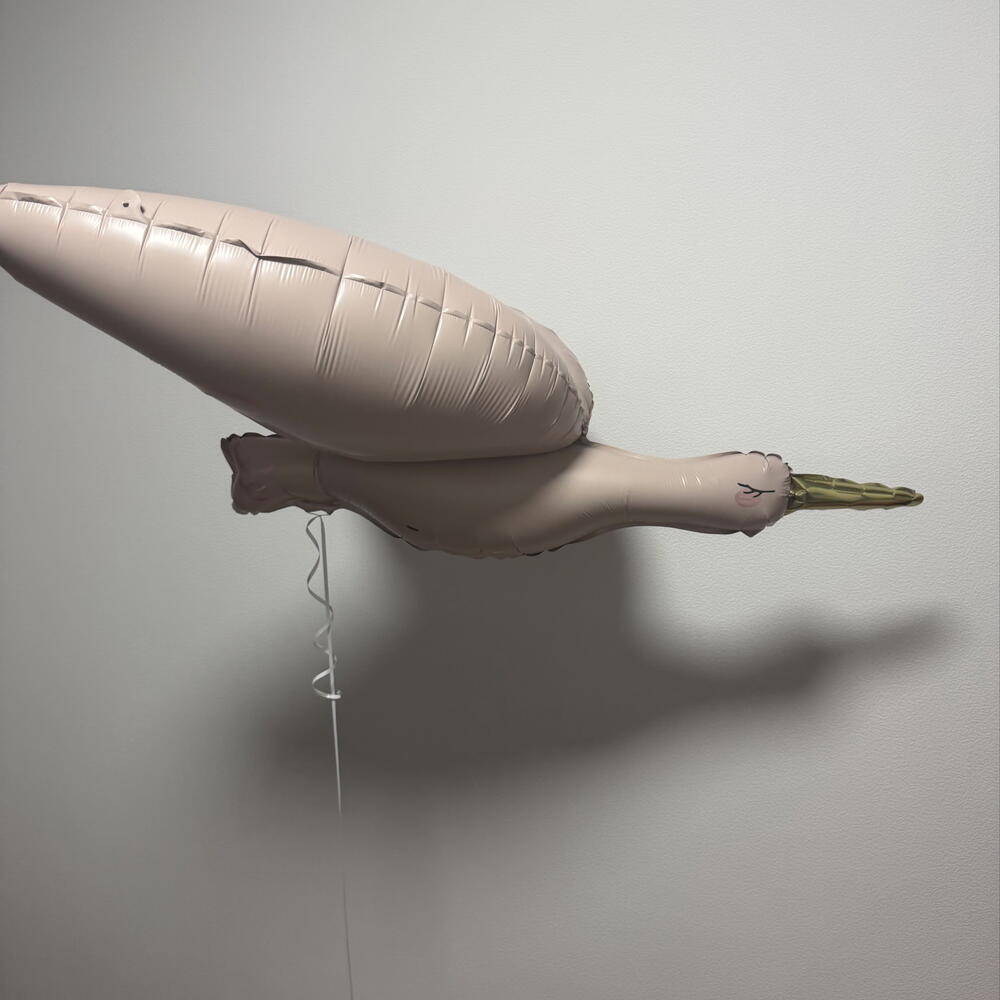 Аист на выписку