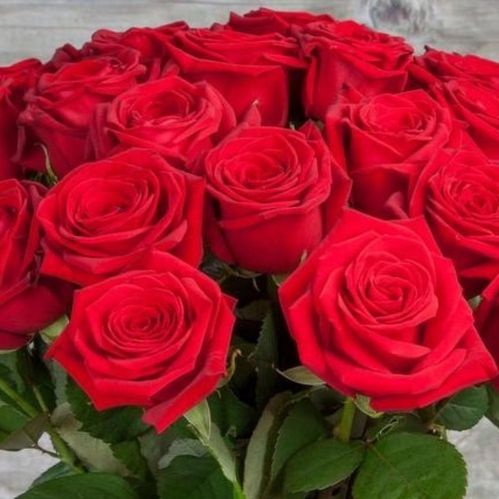 Розы 35 рублей. 8 Роз. 3000 Роз. 3000 Роз фото. 25 Алых роз премиум.