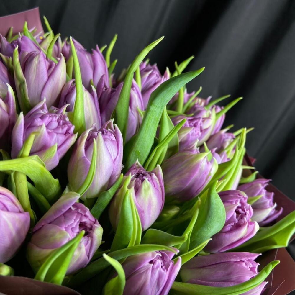 Peony - shaped tulips