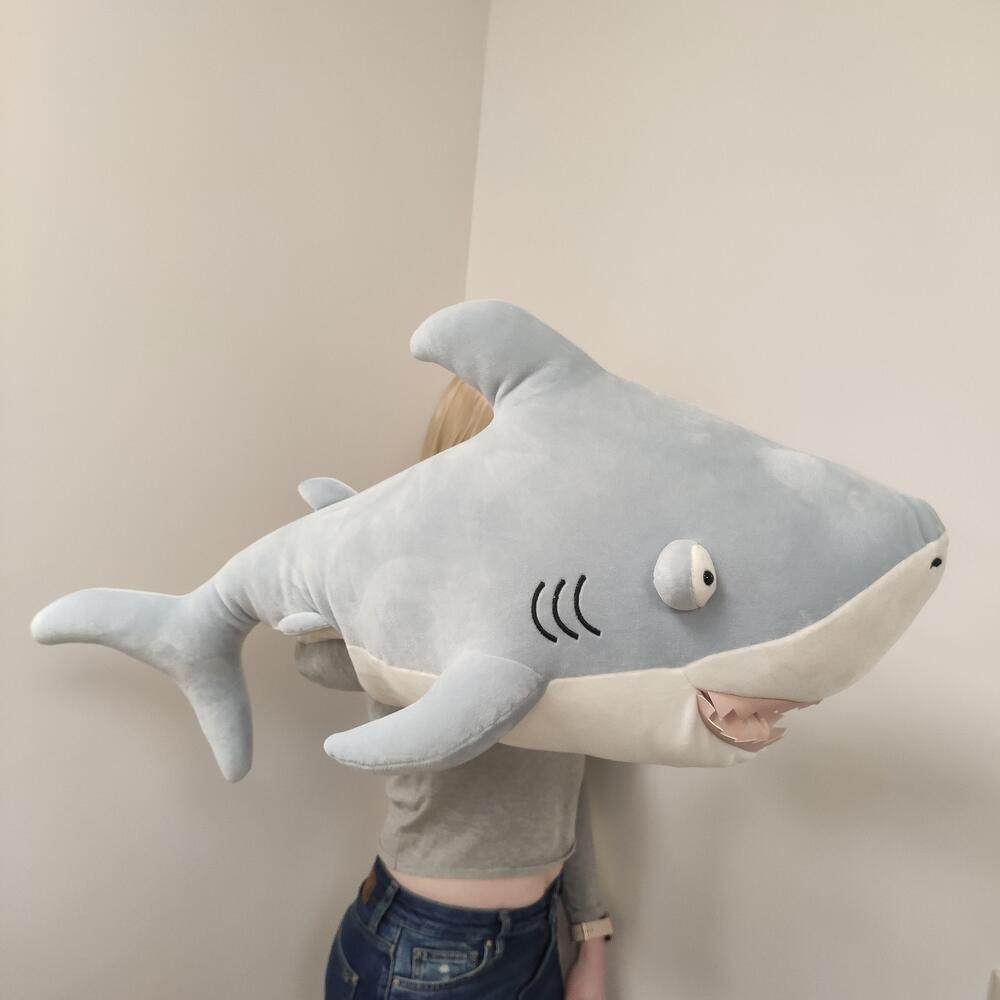 🦈 Акула