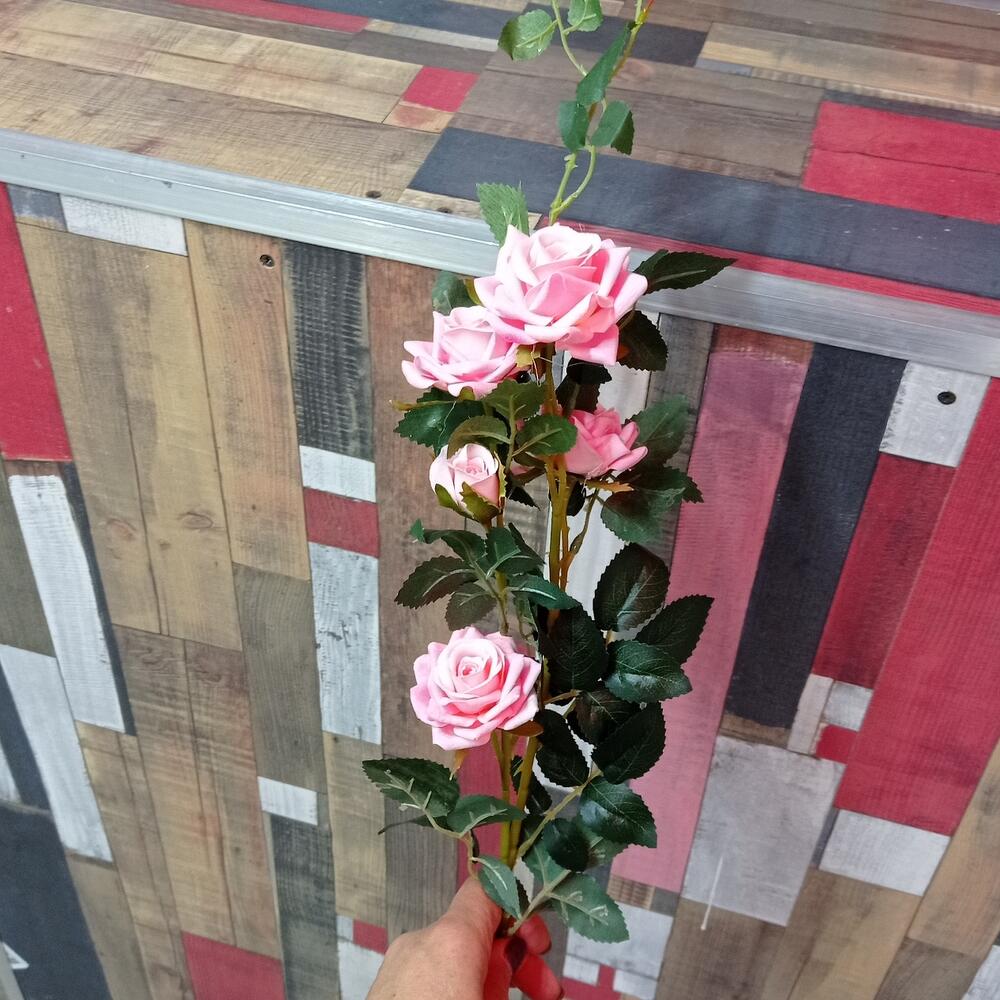 Роза кустовая
