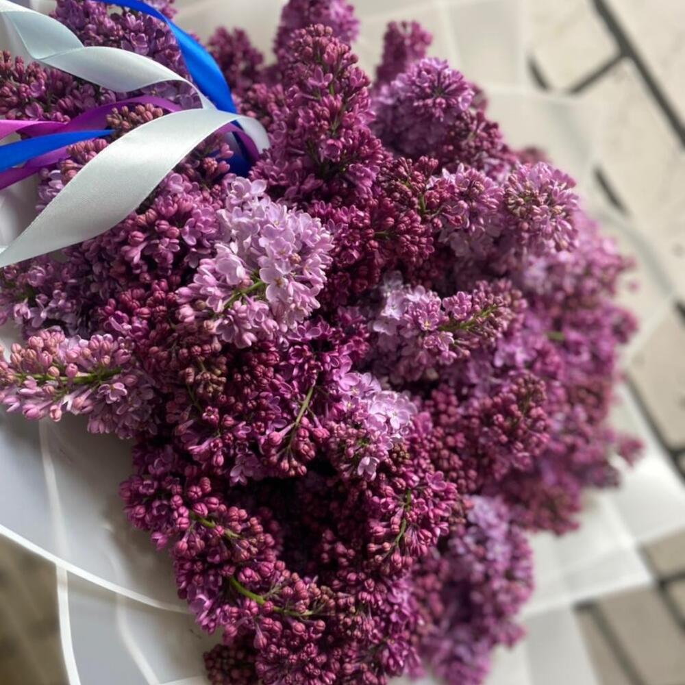 Букет сирени