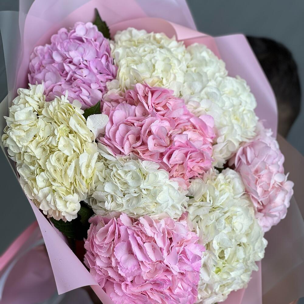 Hydrangea mix