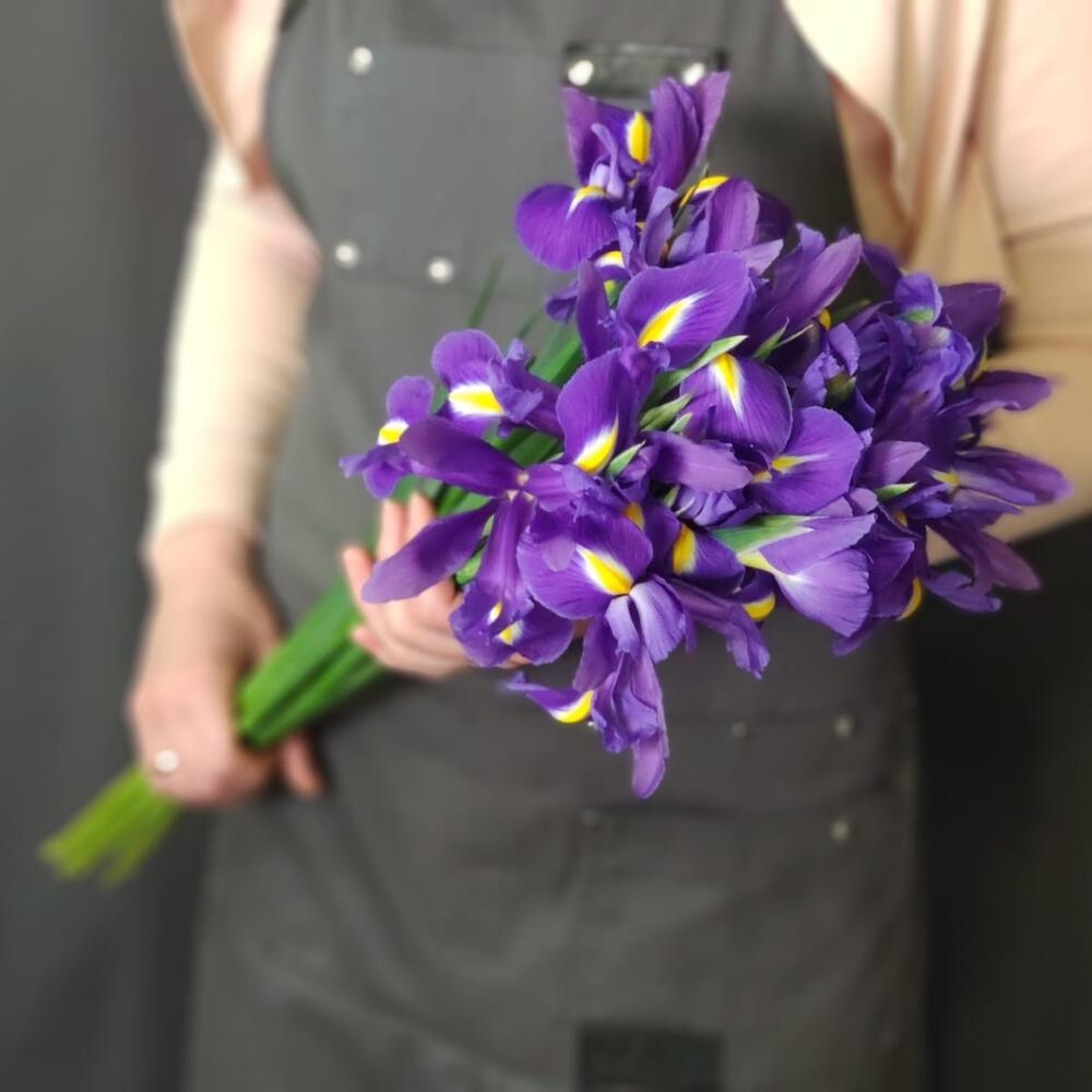 Ирисы синие Blue