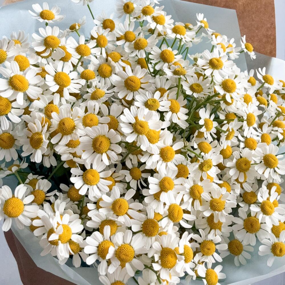 Милые ромашки в крафте