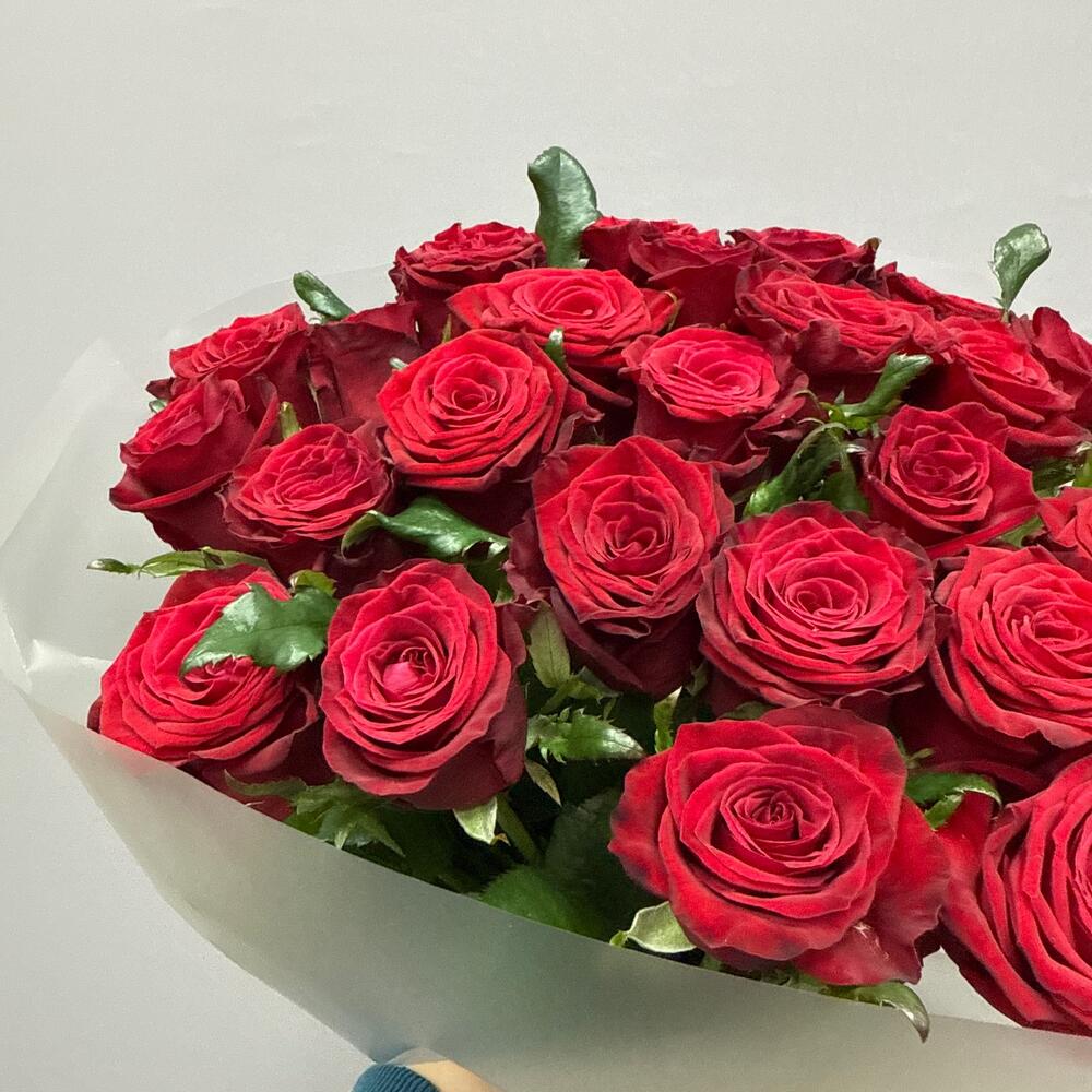 Бордовая сибирская роза 🌹 Любовь