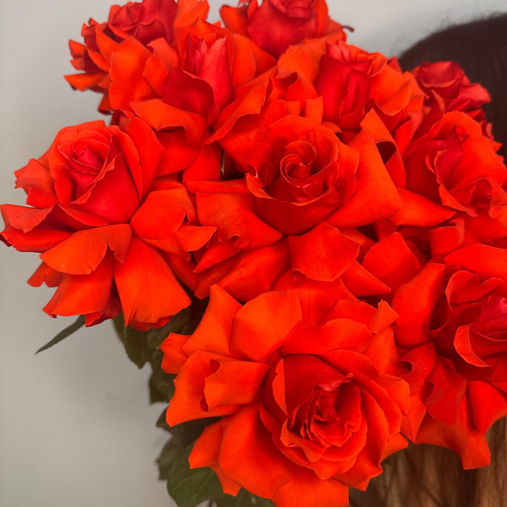 Моно букет из французской розы 🌹 Нина