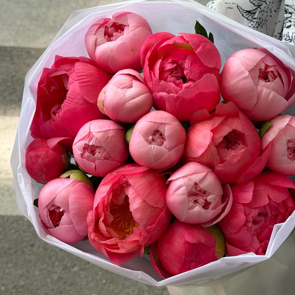 Peony mix Coral with pink