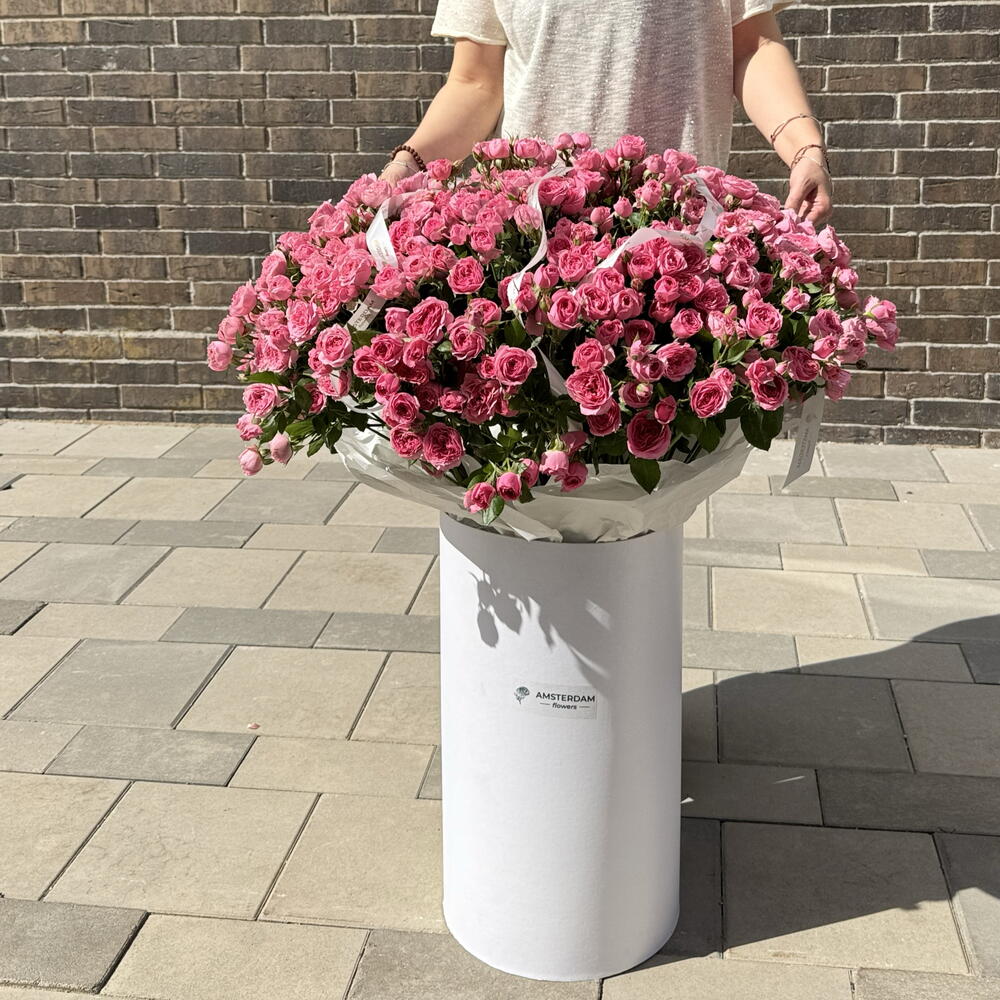 Giant box with Sophie shrub roses