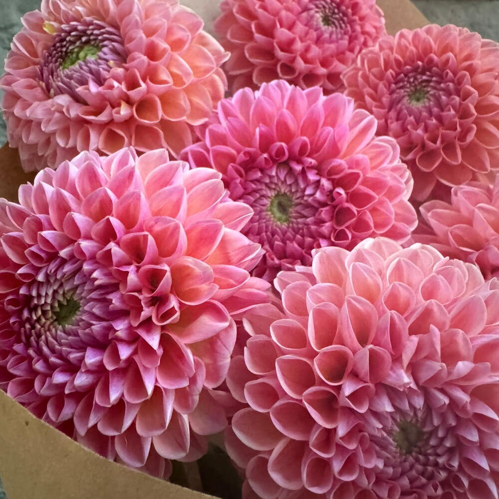 Bouquet 216