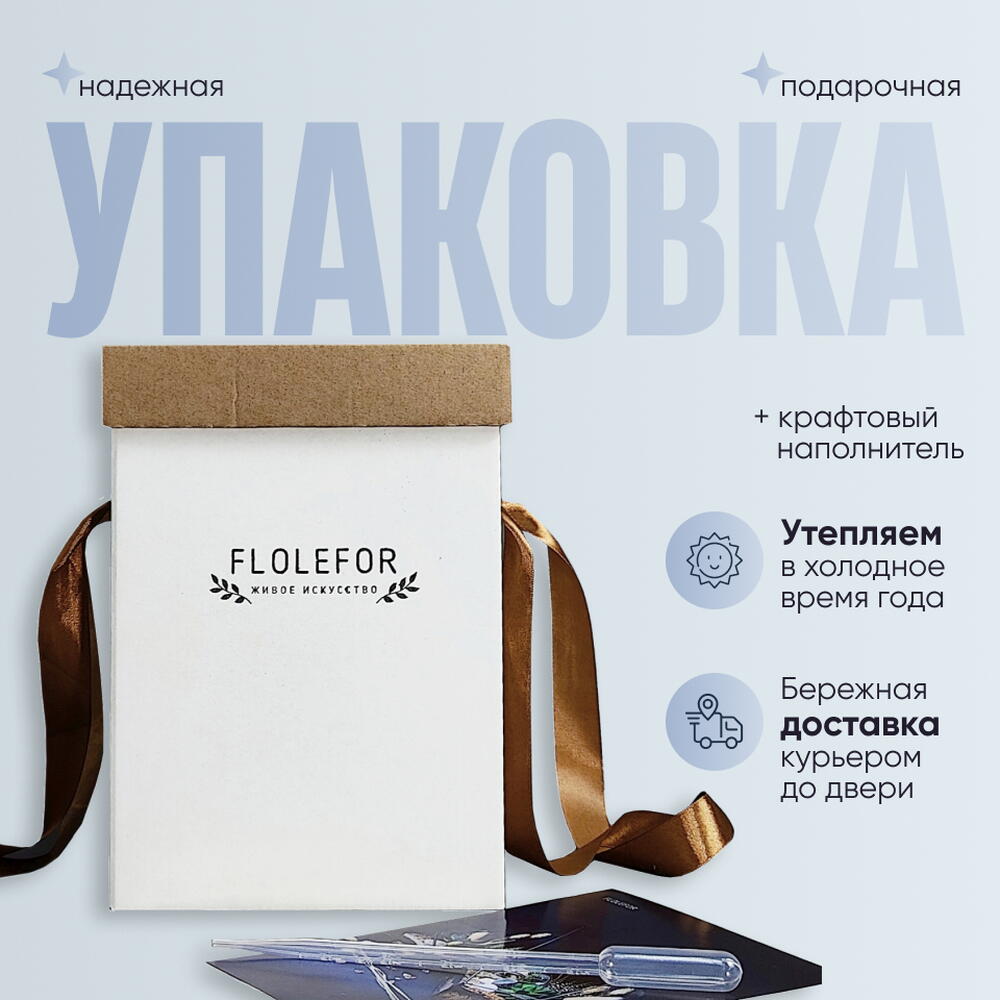 Флорариум с суккулентами «Цветочный берег»