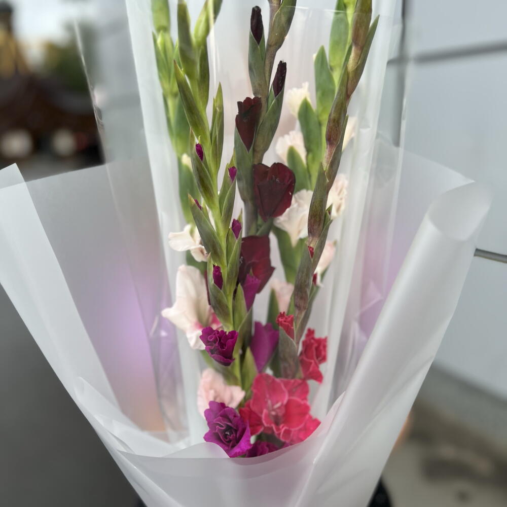 💐 букет из 5 Гладиолусов Первый 🛎️