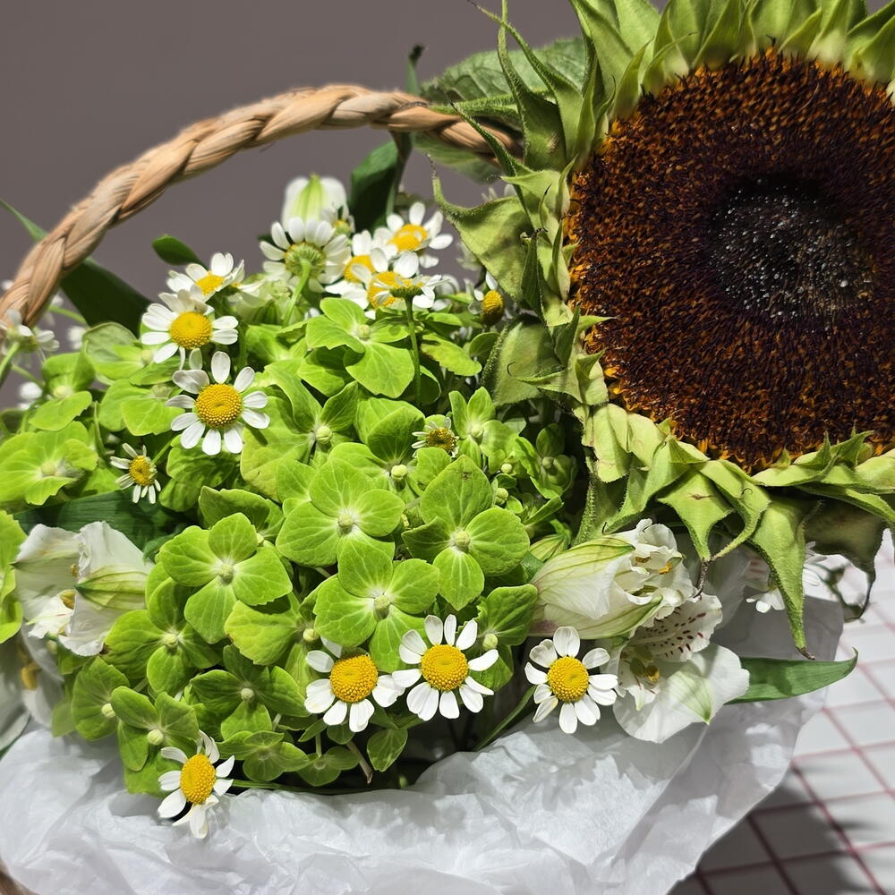 Садовая композиция с подсолнухом и гортензией в кашпо