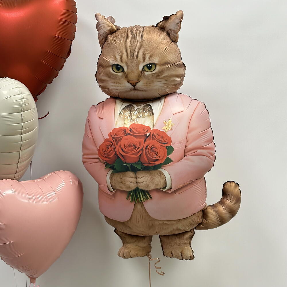 Шарики с котом котик с сердцами