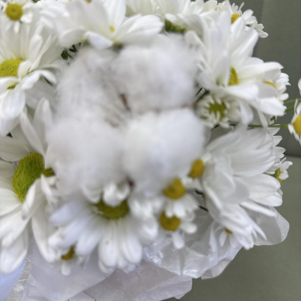 милый комплимент 🥺bloom room