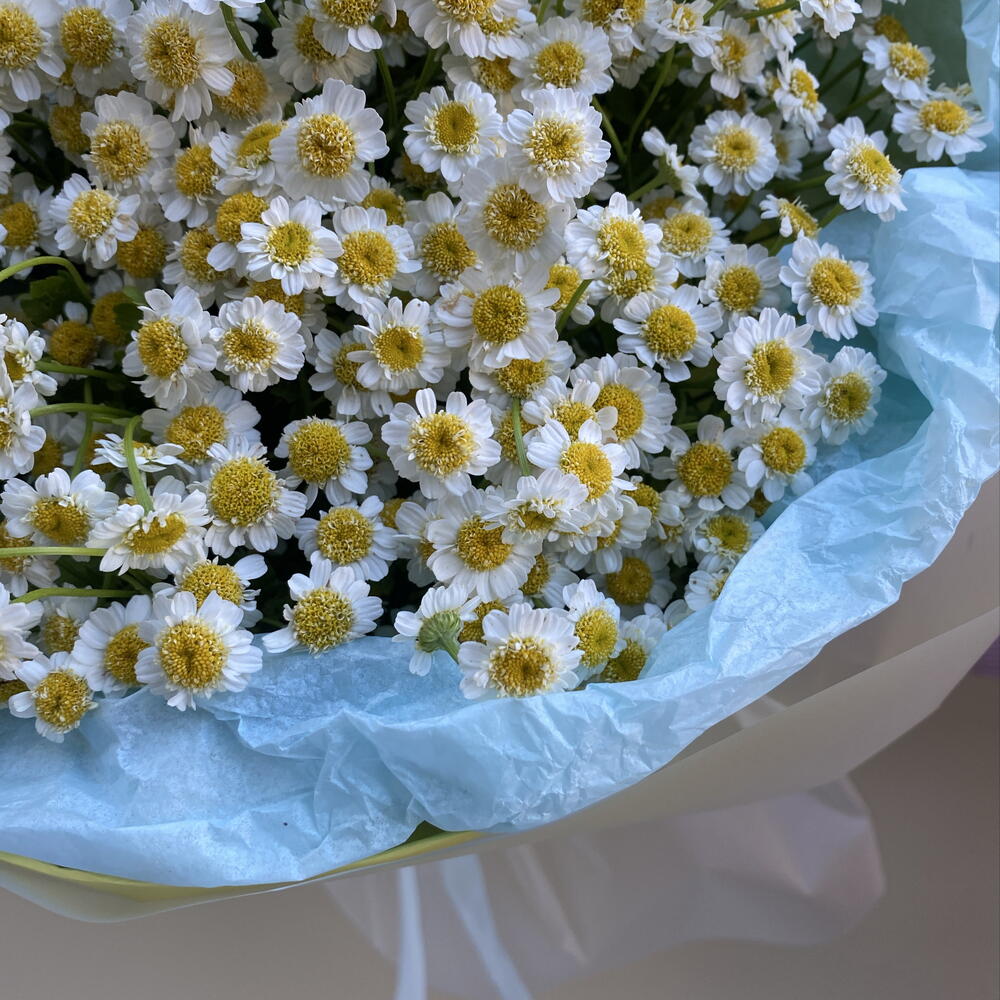 Осенний лучик