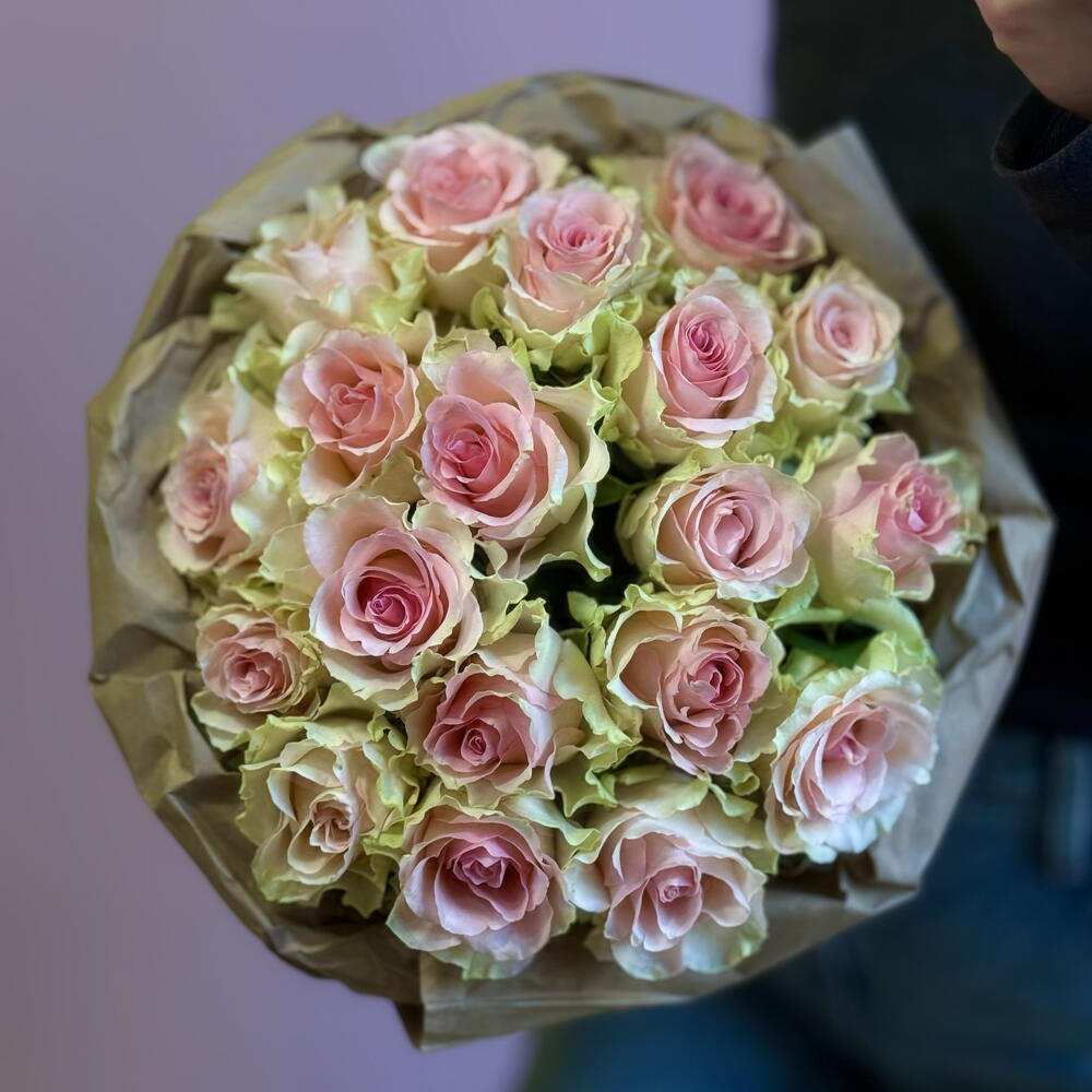 Розовые розы 19