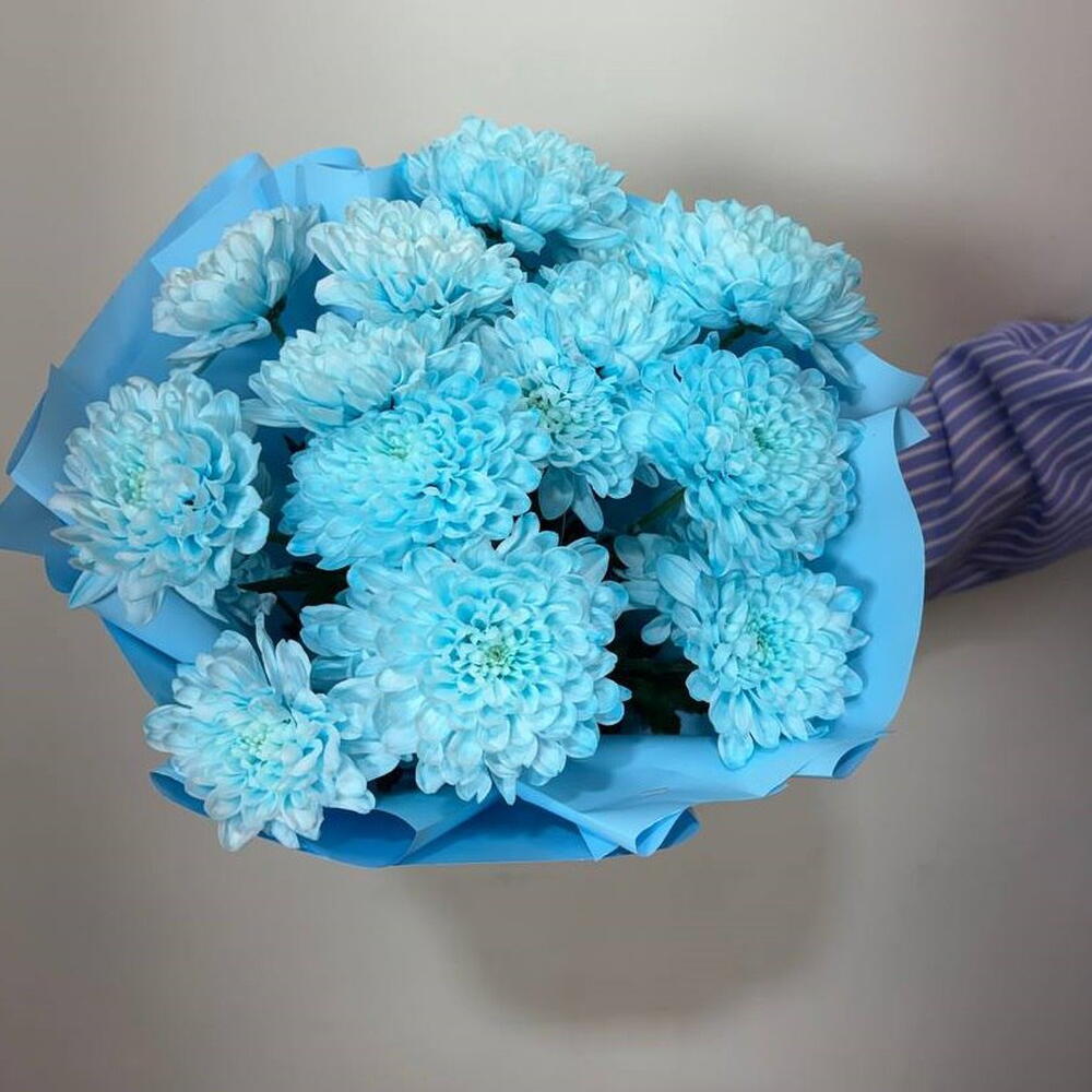 Букет - комплимент из 💙синих💙 хризантем