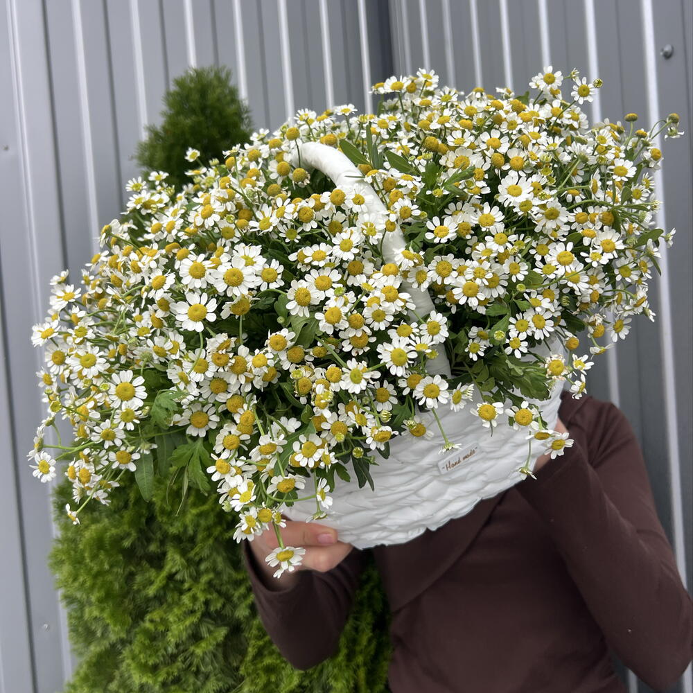 Корзина Матрикари 💐💐💐