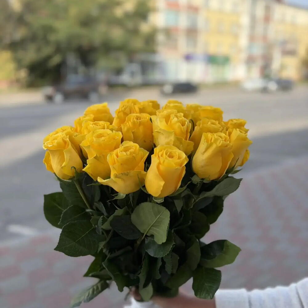 Роза желтая