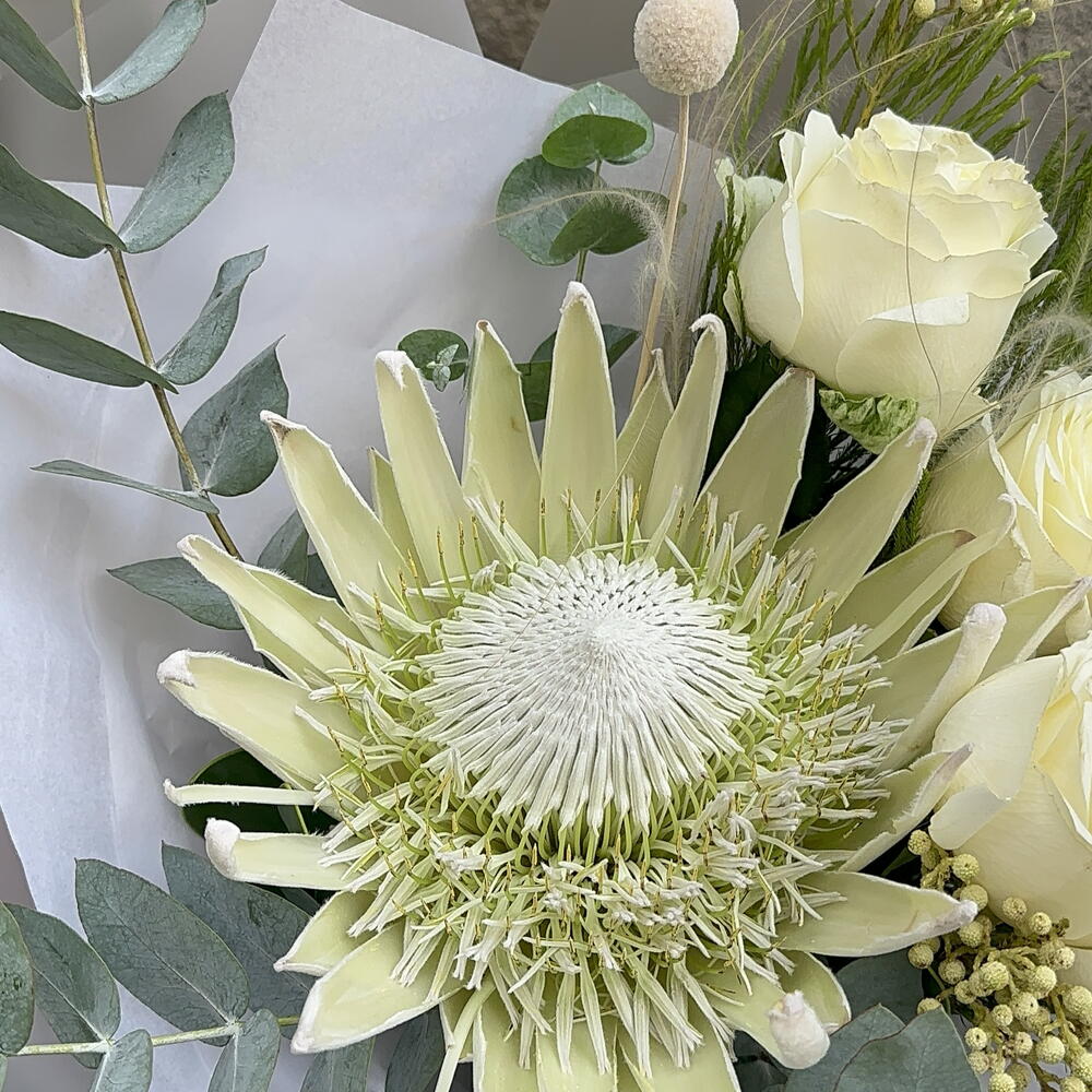 Bouquet 237