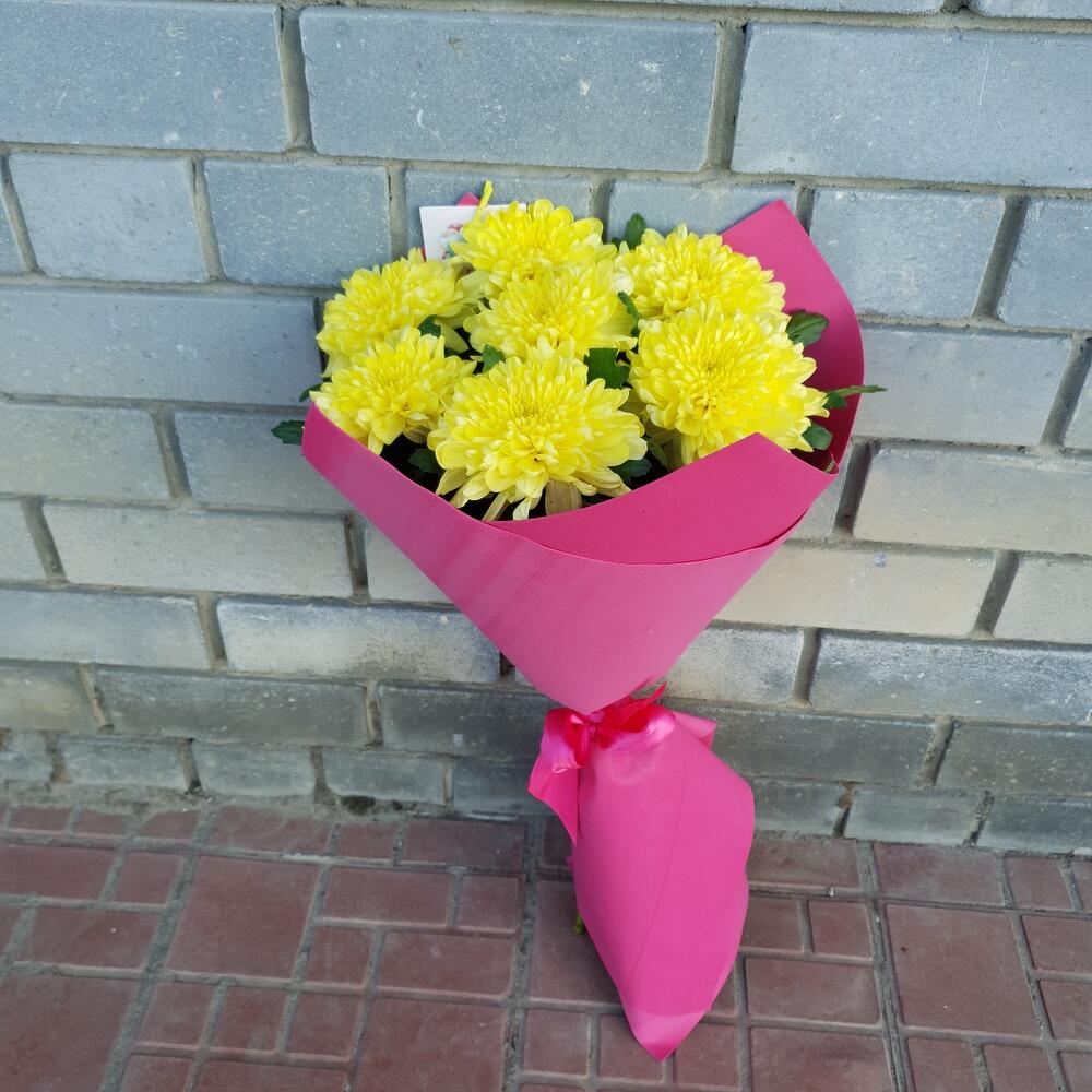 Светило