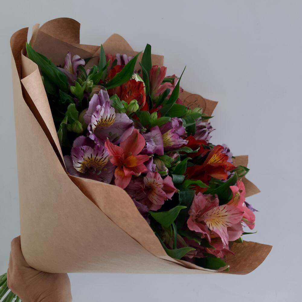 Alstroemeria mix