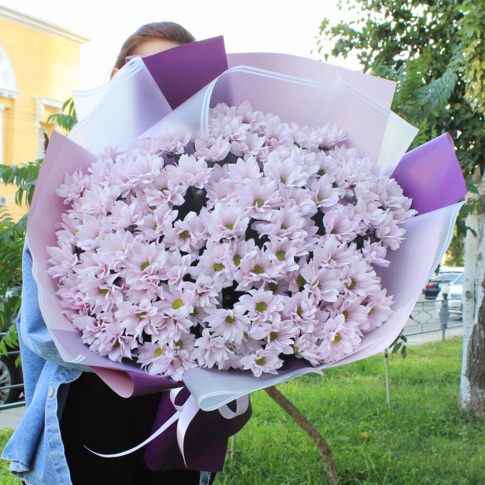 Розовые ромашки