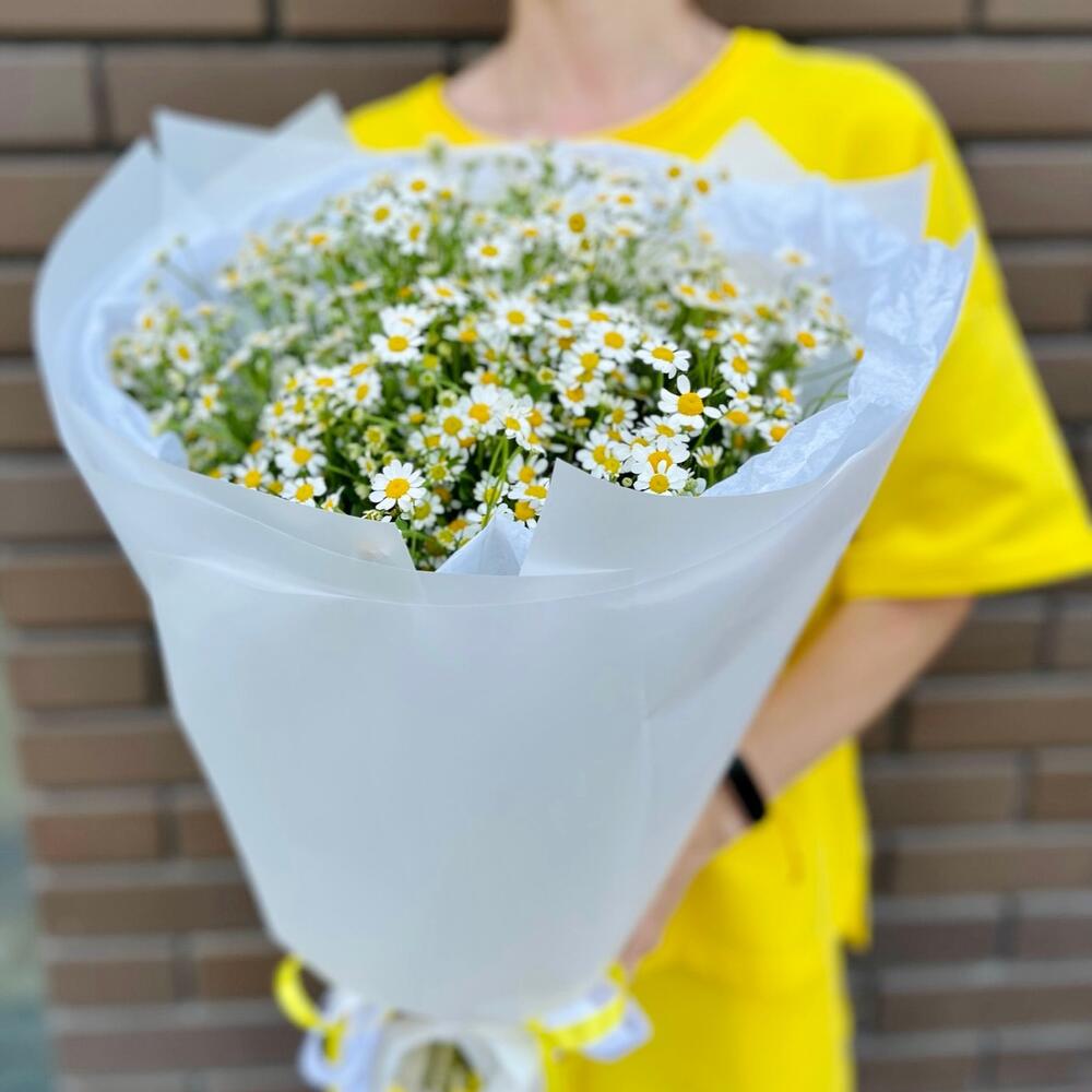 Ромашка