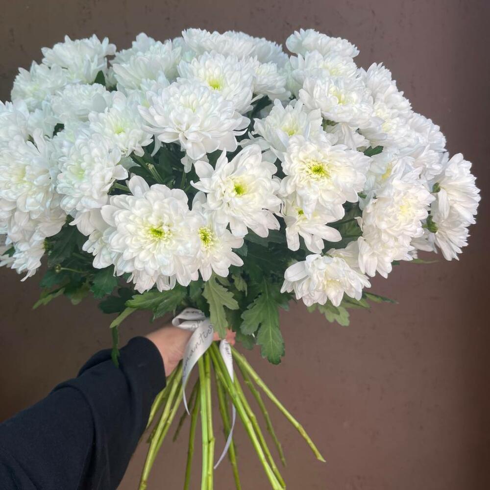 Букет белых хризантем 15 шт