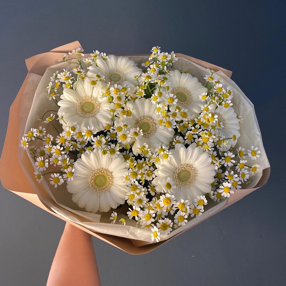 Полевой 🥰