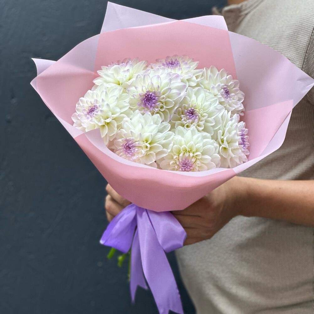 Dahlias