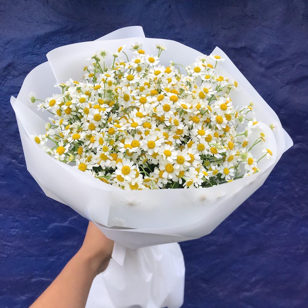 Ромашки 15 шт