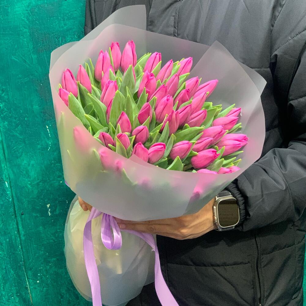 Tulips 🌷
